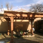 arbor