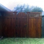 fence