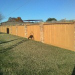 fence