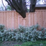 fence