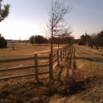 fence