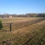 fence