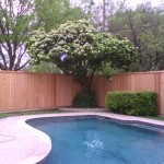 fence