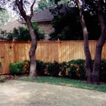 fence