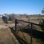 fence