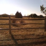 fence